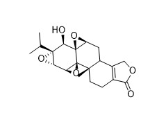 Triptolide APIs Intermediates C20H24O6 Tripterygium 38748-32-2  White powder