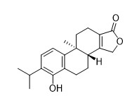 Triptophenolide White To Off White Powder CAS No 74285-86-2