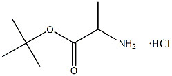 Tert-Butyl L-Alaninate Hydrochloride CAS. 13404-22-3 White To Off-White Powder Purity 98% Melting Point 168-175 °C
