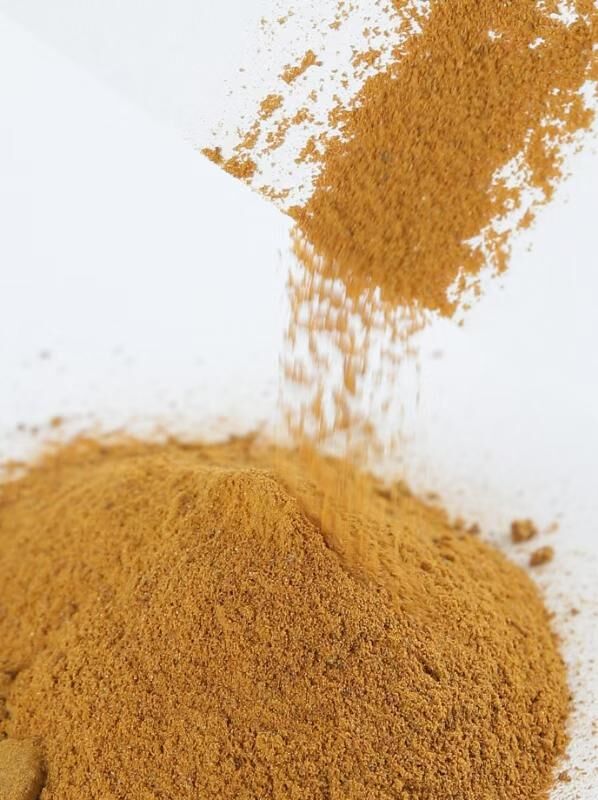 POLYDIHYDROXYINDOLE——Melamine