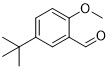 5-Tert-butyl-2-OMebenzaldehyde CAS No 85943-26-6 Yellow powder or oily substance 98% for Maropitan intermediates